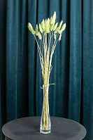 Сухоцветы Лагурус светло- зелёный. Приблизительно 30 шт.
