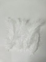 Перья легкие "Белые" В упаковке 10 шт, Размер от 11-16 см