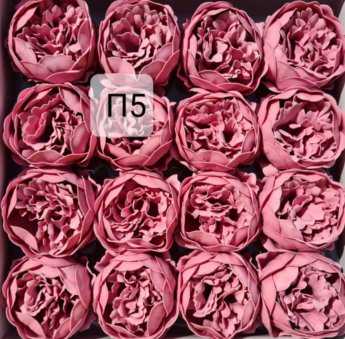  Пионы. П5 Пудра. Упаковка 16 шт. Размер цветка 8*8см.