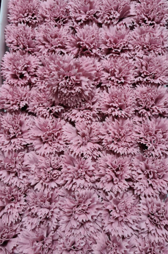 Декоративные цветы Гвоздика. Цвет пудра розовая.  Упаковка 50 шт.