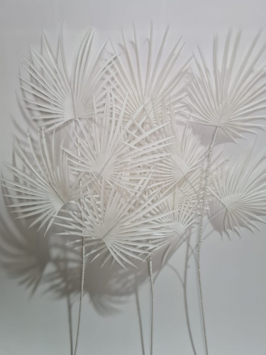 Флористическая трава. Ветки пальмы. Упаковка 3 шт.Высота 88 см. Цвет белый.