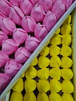 Набор мыльных тюльпанов. Цвет розовый/желтый. Упаковка 50 шт (25/25). 