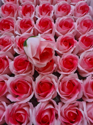 Декоративные розы 3-х слойные. Двухцветные. Белые с красным кантом