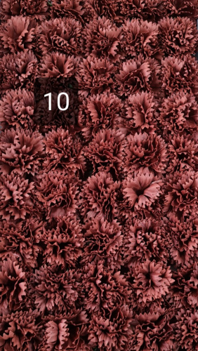 Декоративные цветы Гвоздика. Цвет коричневый. Номер 10