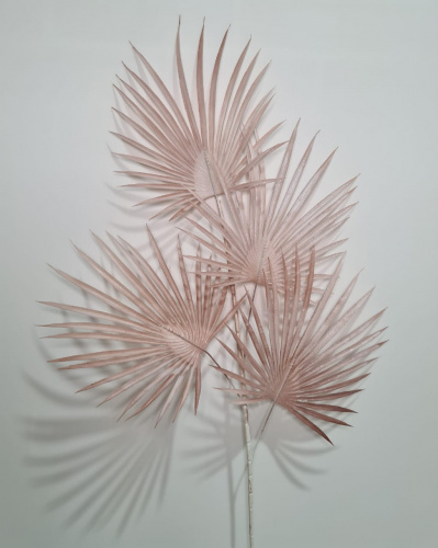 Флористическая трава. Ветки пальмы. Упаковка 3 шт.Высота 88 см. Цвет Светло- коричневый. фото 2
