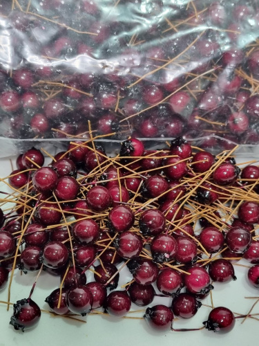 Тычинки флористические. Рябина глянцевая. Цвет бордовый. Упаковка приблизительно 2000 шт. фото 2