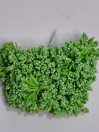 Тычинки флористические. Воздушные. Пучок. Цвет зелёный. Вес 10 гр.
