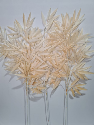 Флористическая трава. Ветки бамбука. Упаковка 3 шт.Высота 100 см. Цвет бежевый.