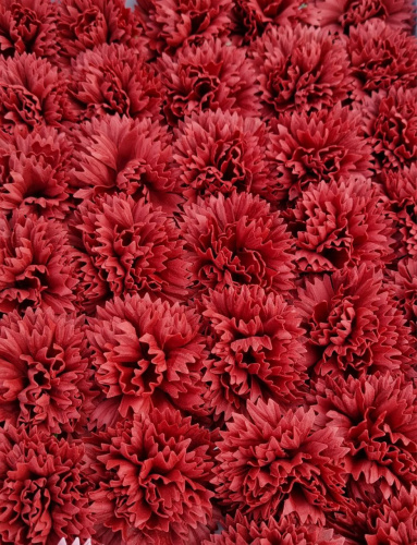 Гвоздика микс. розовый пудра/малиновый/бордовый фото 2 Гвоздика микс. розовый пудра/малиновый/бордовый фото 2