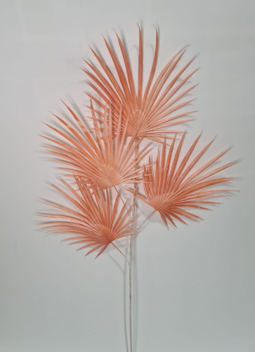 Флористическая трава. Ветки пальмы. Упаковка 3 шт. Высота 88 см. Цвет персиковый. фото 2