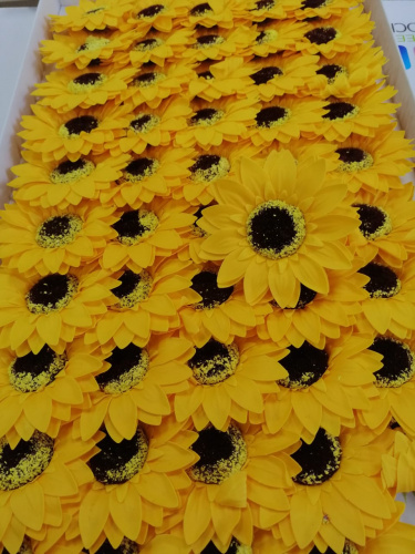 Гербера Желтая, уп-50 шт диаметр 8 см