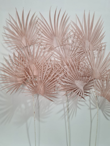 Флористическая трава. Ветки пальмы. Упаковка 3 шт.Высота 88 см. Цвет Светло- коричневый.