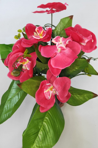 Орхидея ярко-розовая. Упаковка 2 шт