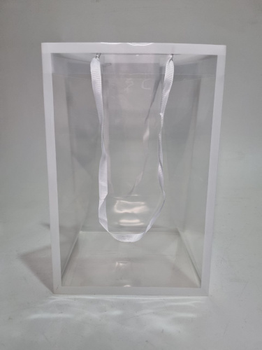 Сумка прозрачная. Ручки тесьма. Цвет канта белый. Размер L 25*18*35 см.