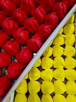 Набор мыльных тюльпанов. Цвет красный/жёлтый. Упаковка 50 шт (25/25). 