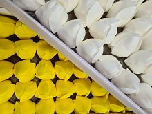 Набор мыльных тюльпанов. Цвет белый/желтый. Упаковка 50 шт (25/25). 