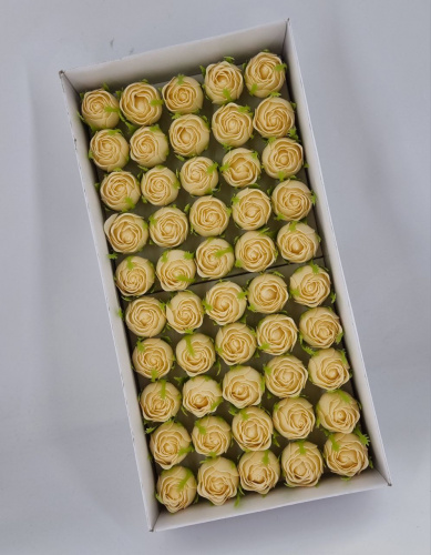 Роза бутон 3 см. Цвет бежевый