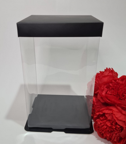 Коробка прозрачная. Чёрное дно и крышка. Высота 28 см, ширина, 17 см.