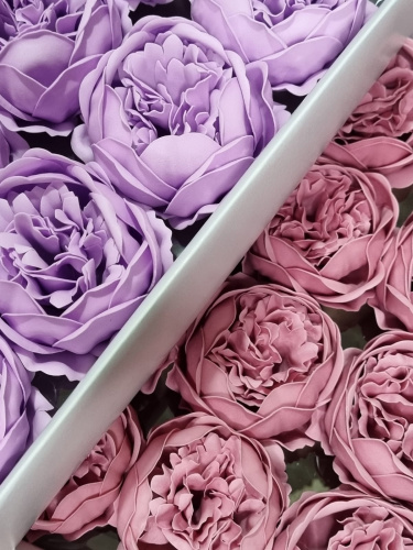 Набор пионов микс 9/5. Цвет Светло сиреневый/ Пудра