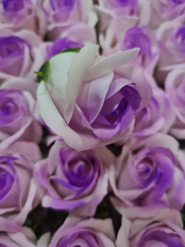 Декоративные розы 3-х слойные. Двухцветные. Сиреневые