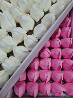 Набор мыльных тюльпанов. Цвет белый/розовый. Упаковка 50 шт (25/25).