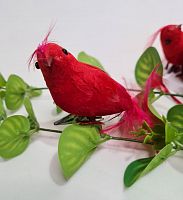 Птички декоративные с лапками на прищепке. Цвет красный. Упаковка 4 шт.
