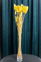 Сухоцветы Лагурус жёлтый. Приблизительно 30 шт.