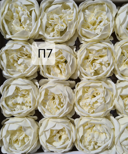  Пионы. П7 Кремовый. Упаковка 16 шт. Размер цветка 8*8см.