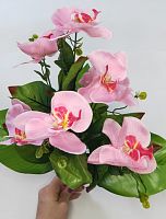 Орхидея розовая. упаковка 2 шт.