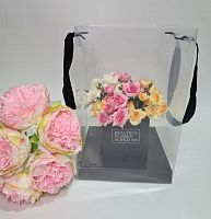 Коробка прозрачная с ручками. Размер 31*20*20 см.