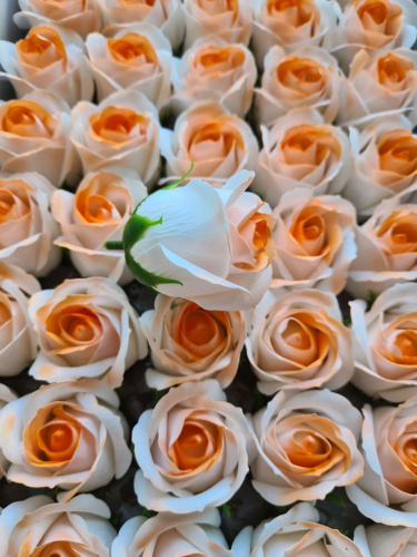 Декоративные розы 3-х слойные. Двухцветные. Белый с оранжевым. Уп-50 шт одного цвета