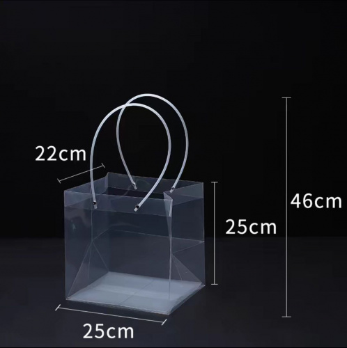 Сумка-пакет прозрачный пластик №3, 25*25*22 см