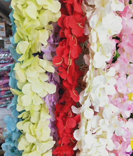 глициния 2.1 метр красная