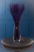  Стабилизированный Лавандин. Цвет фиолетовый. Высота 50-60 см. 