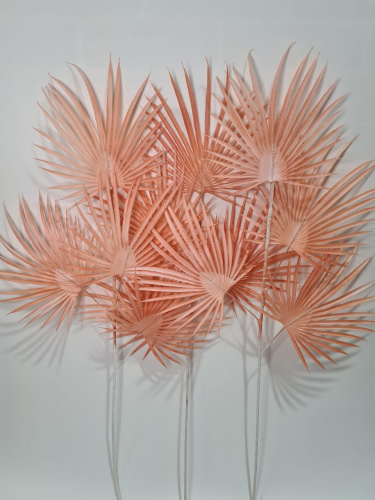 Флористическая трава. Ветки пальмы. Упаковка 3 шт. Высота 88 см. Цвет персиковый.