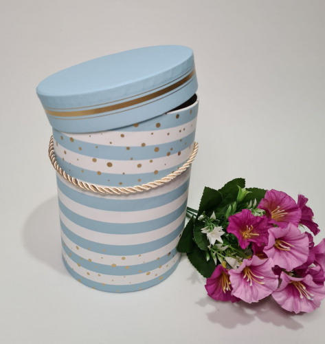 Коробки полосы. Голубой в полоску