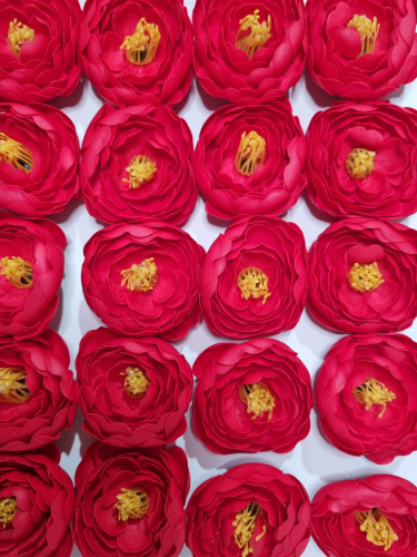 Цветок ранункулюс. Цвет красный. Диаметр цветка 6 см.