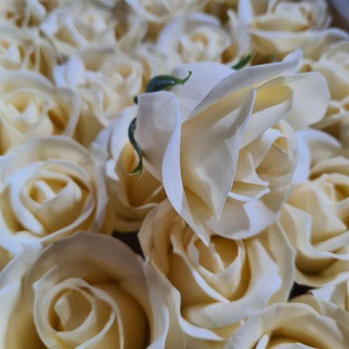 роза крупная. Бутон 6 см. Цвет бежевый Упаковка 50 шт. фото 2