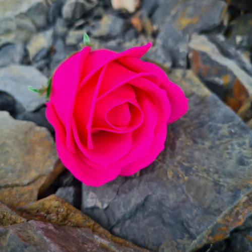 Набор цветов Розовый микс. Розы номер 19/9, сакура белая. Упаковка 50 шт. фото 3 Набор цветов Розовый микс. Розы номер 19/9, сакура белая. Упаковка 50 шт. фото 3