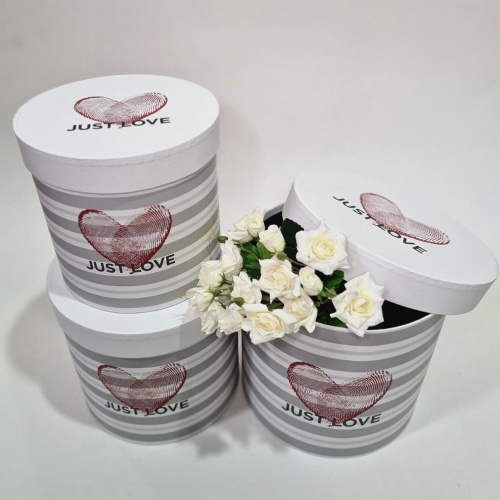 Коробка 3в1 рисунок отпечаток Сердце. Цвет белый фото 3