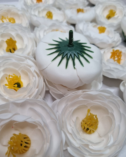 Цветок ранункулюс. Цвет белый. Диаметр цветка 6 см. фото 2