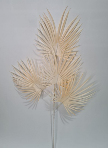 Флористическая трава. Ветки пальмы. Упаковка 3 шт.Высота 88 см. Цвет бежевый. фото 2