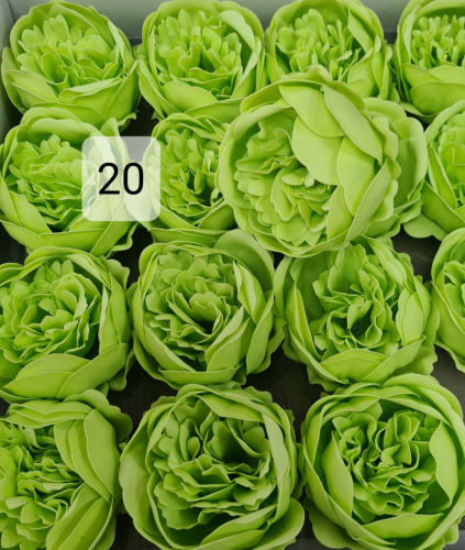 Пионы номер 20. Цвет зеленый. Упаковка 16 шт. Размер цветка 8*8 см.