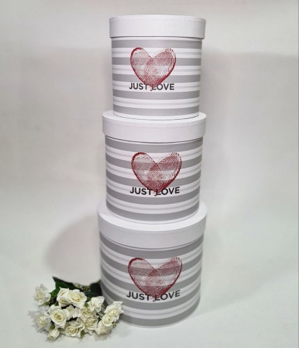 Коробка 3в1 рисунок отпечаток Сердце. Цвет белый фото 2